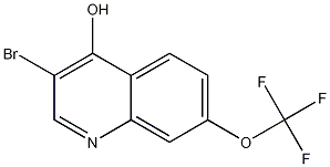 3-Bromo-4-hydroxy-7-trifluoromethoxyquinoline CAS#: 1065087-90-2