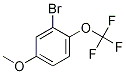3-bromo-4-trifluoromethoxyanisole CAS#: 1049730-91-7