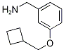 (3-(cyclobutylMethoxy)phenyl)MethanaMine CAS#: 1061650-69-8