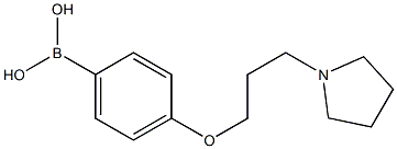 4-(3-(pyrrolidin-1-yl)propoxy)phenylboronic acid CAS#: 1003028-33-8