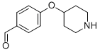 4-(4-Piperidinyloxy)benzaldehyde CAS#: 199103-27-0
