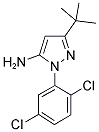 5-TERT-BUTYL-2-(2,5-DICHLORO-PHENYL)-2H-PYRAZOL-3-YLAMINE CAS#: 1017781-20-2