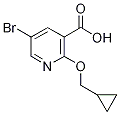 5-bromo-2-(cyclopropylmethoxy)nicotinic acid CAS#: 1017782-57-8