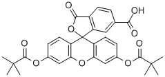 6-CARBOXYFLUORESCEIN DIPIVALATE CAS#: 192374-17-7
