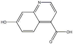 7-Hydroxy-quinoline-4-carboxylic acid CAS#: 1017969-32-2