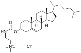CHOLESTERYL N-(TRIMETHYL-AMMONIOETHYL)CARBAMATE CHLORIDE CAS#: 188022-80-2