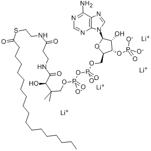 N-OCTADECANOYL COENZYME A LITHIUM SALT CAS#: 193402-48-1
