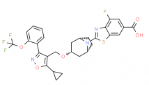 Structure of Tropifexor CAS 1383816-29-2