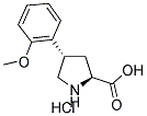 (+/-)-TRANS-4-(2-METHOXYPHENYL)PYRROLIDINE-3-CARBOXYLIC ACID HYDROCHLORIDE CAS#: 1049735-11-6