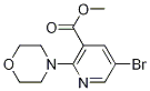 methyl 5-bromo-2-morpholinonicotinate CAS#: 1017782-99-8