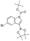 tert-Butyl 5-bromo-3-(4,4,5,5-tetramethyl-1,3,2-dioxaborolan-2-yl)-1H-indole-1-carboxylate CAS#: 1024677-85-7