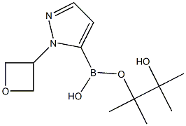 1-(3-Oxetanyl)-1H-pyrazole-5-boronic acid pinacol ester CAS#: 1315280-58-0