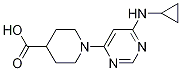 1-(6-CyclopropylaMino-pyriMidin-4-yl)-piperidine-4-carboxylic acid CAS#: 1353978-16-1