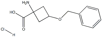 1-AMino-3-(benzyloxy)cyclobutanecarboxylic acid hydrochloride CAS#: 1207894-63-0