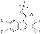 1-Boc-5,6-Dichloro-1H-indole-2-boronic acid CAS#: 1310384-28-1