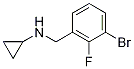 1-BroMo-2-fluoro-3-(cyclopropylaMinoMethyl)benzene CAS#: 1355247-51-6