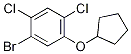 1-Bromo-2,4-dichloro-5-(cyclopentyloxy)benzene CAS#: 1280786-56-2