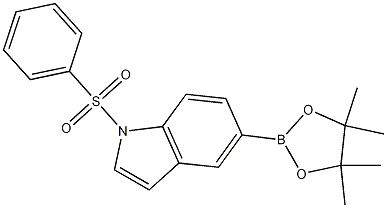 1-(Phenylsulfonyl)-5-(4,4,5,5-tetramethyl-1,3,2-dioxaborolan-2-yl)-1H-indole CAS#: 1256359-23-5