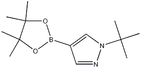1-tert-Butyl-4-(4,4,5,5-tetramethyl-1,3,2-dioxaborolan-2-yl)-1H-pyrazole CAS#: 1256359-15-5