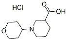 1-(tetrahydro-2H-pyran-4-yl)-3-piperidinecarboxylic acid(SALTDATA: HCl) CAS#: 1158698-78-2