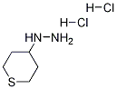 1-(tetrahydro-2H-thiopyran-4-yl)hydrazine dihydrochloride CAS#: 1374652-09-1