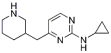 N-cyclopropyl-4-(piperidin-3-ylMethyl)pyriMidin-2-aMine CAS#: 1263282-23-0