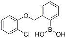 (2-((2-Chlorophenoxy)Methyl)phenyl)boronic acid CAS#: 1256358-68-5