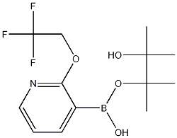 2-(2,2,2-TRIFLUOROETHOXY)PYRIDINE-3-BORONIC ACID PINACOL ESTER CAS#: 1073354-46-7
