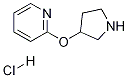 2-(3-PYRROLIDINYLOXY)-PYRIDINE HYDROCHLORIDE CAS#: 1220039-88-2