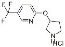 2-(3-Pyrrolidinyloxy)-5-(trifluoromethyl)pyridinehydrochloride CAS#: 1220016-29-4