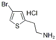 2-(4-Bromothien-2-yl)ethylamine hydrochloride CAS#: 1172469-40-7