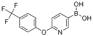 2-(4-TrifluoroMethylphenoxy)pyridine-5-boronic acid CAS#: 1256358-58-3