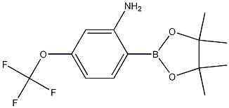 2-(4,4,5,5-Tetramethyl-1,3,2-dioxaborolan-2-yl)-5-(trifluoromethoxy)aniline CAS#: 1256359-27-9