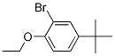 2-BroMo-4-(tert-butyl)-1-ethoxybenzene CAS#: 1096679-03-6