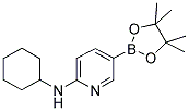 2-(CYCLOHEXYLAMINO)PYRIDINE-5-BORONIC ACID PINACOL ESTER CAS#: 1073354-34-3