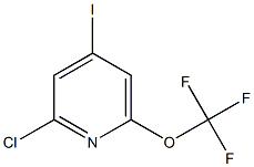2-Chloro-4-iodo-6-(trifluoroMethoxy)pyridine CAS#: 1221171-96-5