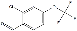 2-Chloro-4-trifluoroMethoxy-benzaldehyde CAS#: 1079351-20-4