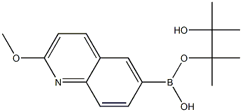 2-Methoxyquinoline-6-boronic acid, pinacol ester CAS#: 1201644-36-1