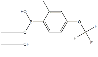 2-Methyl-4-trifluoroMethoxyphenylboronic acid, pinacol ester CAS#: 1309980-29-7