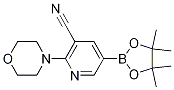 2-Morpholino-5-(4,4,5,5-tetramethyl-1,3,2-dioxaborolan-2-yl)nicotinonitrile CAS#: 1356068-62-6