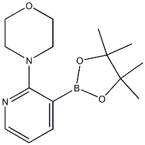 2-Morpholinopyridine-3-boronic acid, pinacol ester CAS#: 1150561-72-0
