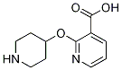 2-(Piperidin-4-yloxy)inicotinic acid CAS#: 1086392-90-6