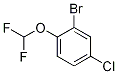 2-bromo-4-chloro-1-(difluoromethoxy)benzene CAS#: 1214348-81-8