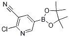 2-chloro-5-(4,4,5,5-tetramethyl-1,3,2-dioxaborolan-2-yl)nicotinonitrile CAS#: 1220220-02-9
