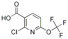 2-chloro-6-(trifluoroMethoxy)nicotinic acid CAS#: 1221172-04-8