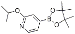 2-isopropoxy-4-(4,4,5,5-tetramethyl-1,3,2-dioxaborolan-2-yl)pyridine CAS#: 1257554-10-1