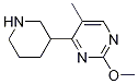 2-methoxy-5-methyl-4-(piperidin-3-yl)pyrimidine CAS#: 1207174-94-4