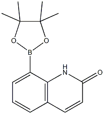 2-pyridinone-8-boronic ester CAS#: 1219130-55-8