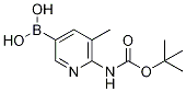 2-tert-ButyloxycarbonylaMino-3-Methylpyridine-5-boronic acid CAS#: 1356087-58-5