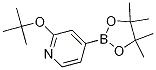 2-tert-butoxy-4-(4,4,5,5-tetramethyl-1,3,2-dioxaborolan-2-yl)pyridine CAS#: 1256358-89-0